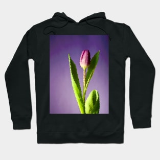 LILAC Hoodie